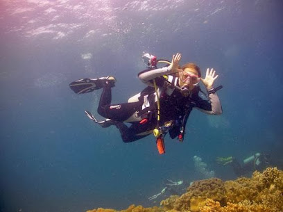 Dive & Travel Company