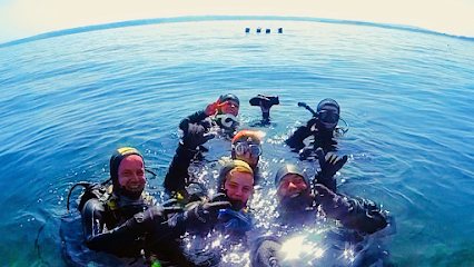 Dreams of Diving deine Tauchschule am Bodensee
