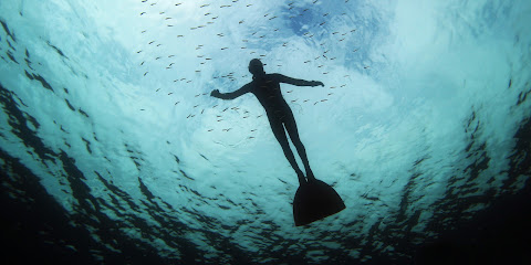 FREEDIVING HAMBURG | APNEA-COLLEGE
