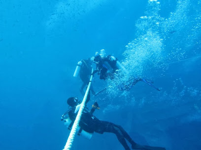 Divecrew Berlin