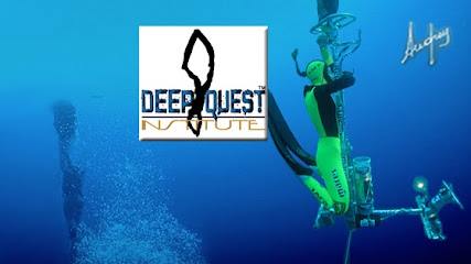 Deep Quest Institute