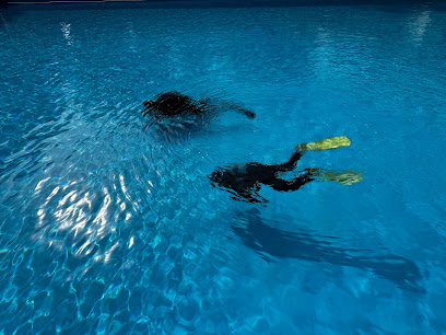 Magic Factory Diving