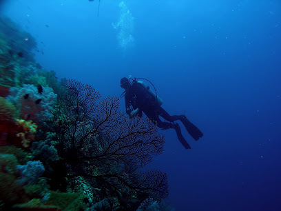 Troisdorf Fun Divers