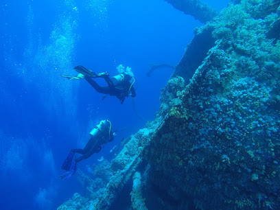 dive-h2o.de