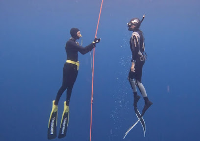 Freediving Chiemsee