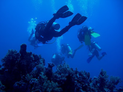 Scuba Dreams