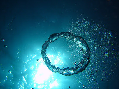 dive-team-langenargen