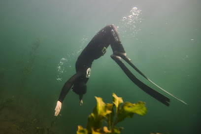 FREEDIVEcoach.de
