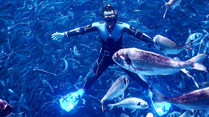 Chalki Dive Centre