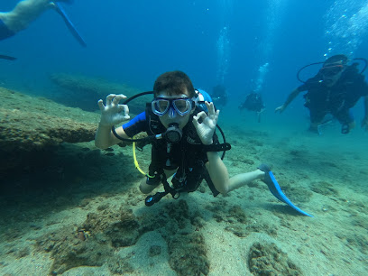 Intro Dive and Intro Sea Kayak