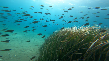 Kanelakis Diving Experiences