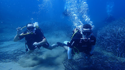 Cool Experience Dive Center - Padi 5 star Dive Center