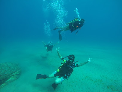AMASO Dive Center