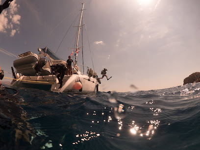 Ulysses Multihull Adventures