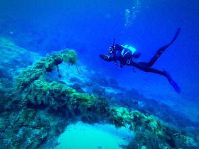 Diving Zante Blue Reef