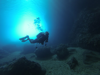 Alonissos Blue Dream Diving Center