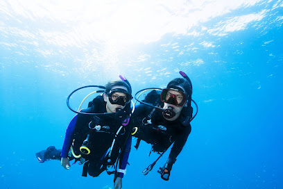 Zante Diving - Dive Center Transport to Laganas beach (Tsilivi pick up spot)