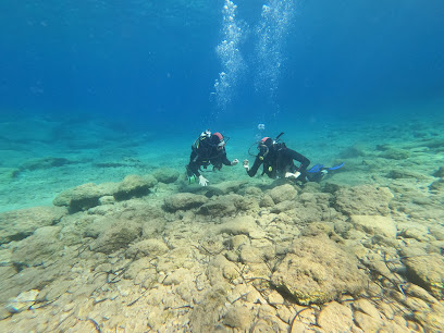 Kisamos diving center