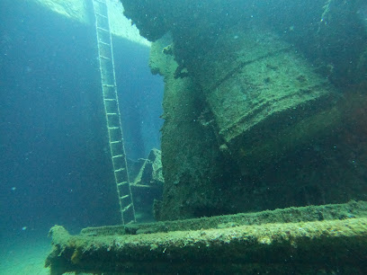 DiveMed Scuba Diving School & Glass Bottom Boat Excursions
