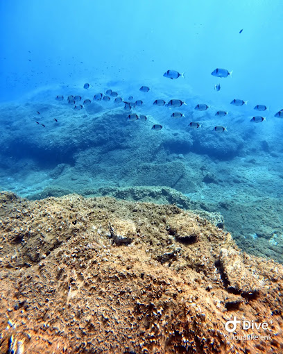 Atlantis Diving Center