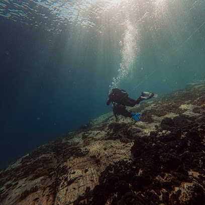 Sea under Scuba Diving Center