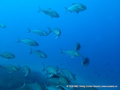 Oceanic Diving Center