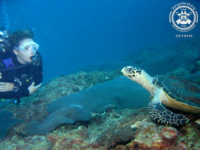 Gorgonia Diving