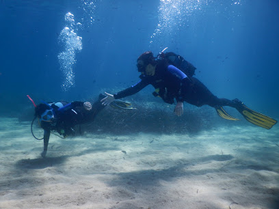 Shark Fin Scuba Diving Center