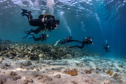 Athos Scuba Diving center Ouranoupoli Padi 5 stars Resort