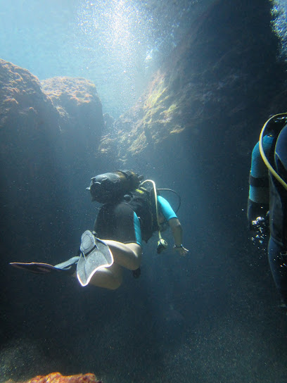 Triton Dive Center and school