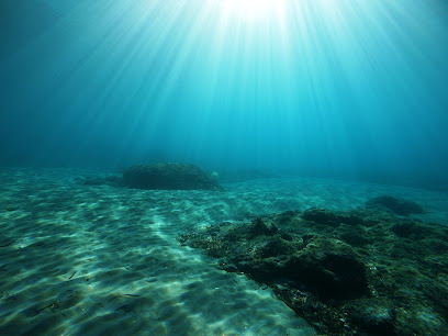 AegeanSeals Diving Center