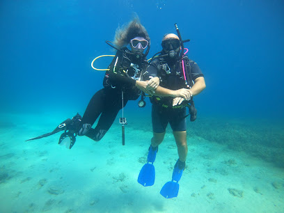 OURANOUPOLI SCUBA DIVING CENTER - PADI 5 STAR DIVE RESORT