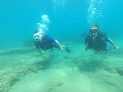 Scuba Diving Tauchschule