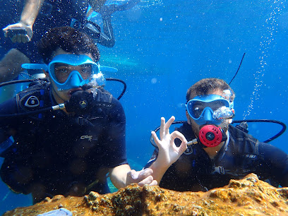 The Waterhoppers