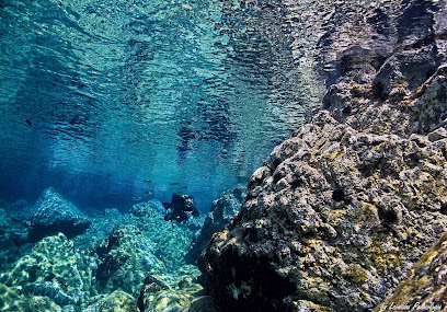 Searacer Diving Academy