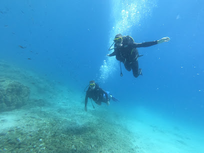 Kalymnos Diving Club