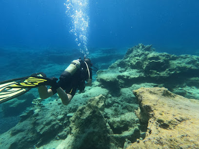 NICEDIVE4U PADI 5 Star Dive Center Crete