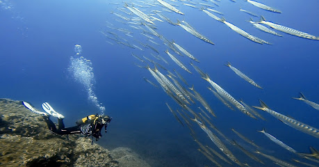 Mykonos Diving Center