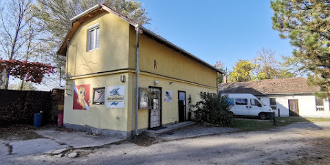 Győri Búvár Sportegyesület