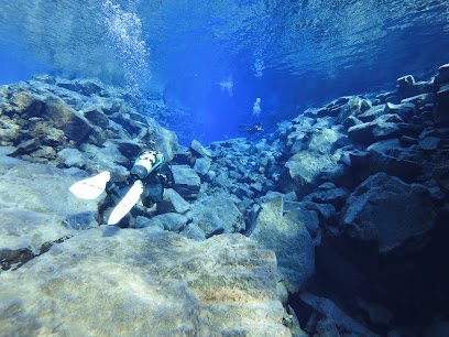 Icedive.is