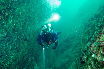 Triton Diving Ireland