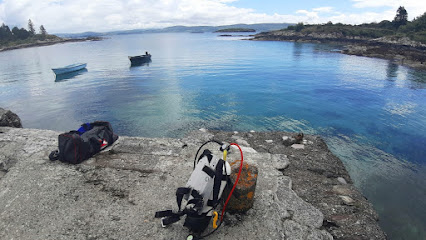 Kenmare Bay Diving