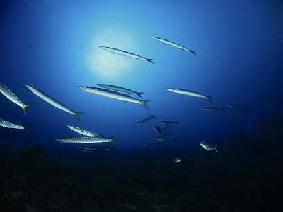 Diving in Elba Portoferraio