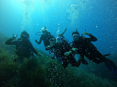 Massub Diving Portofino