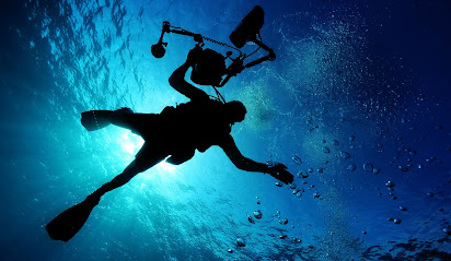 Anthias Diving
