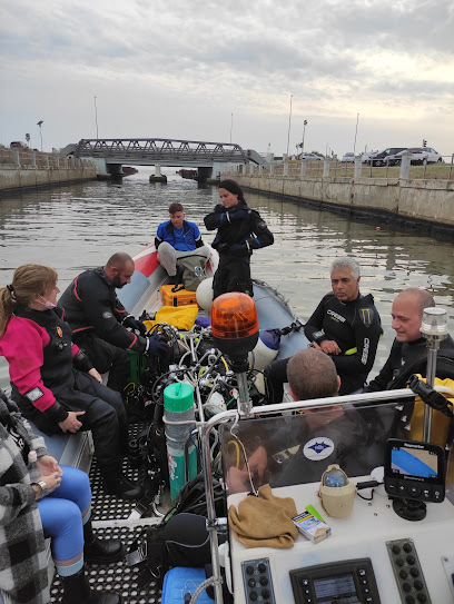 Really Scuba Diving