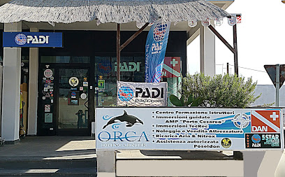 Orca Diving Center