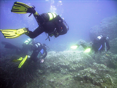 GODiving - Sezione sub di ASD PPARC