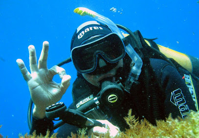 Scuola Sub Immersion Diving School Bisceglie