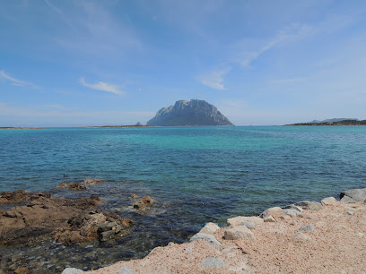 Porto San Paolo Dive Center A.S.D.